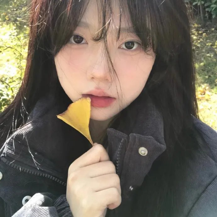 江原道之力